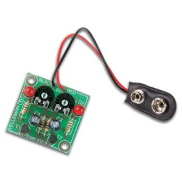 FLASHING LEDs MK102