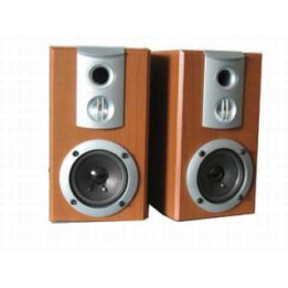 Тонколони Canyon CNR-FSP01/USB