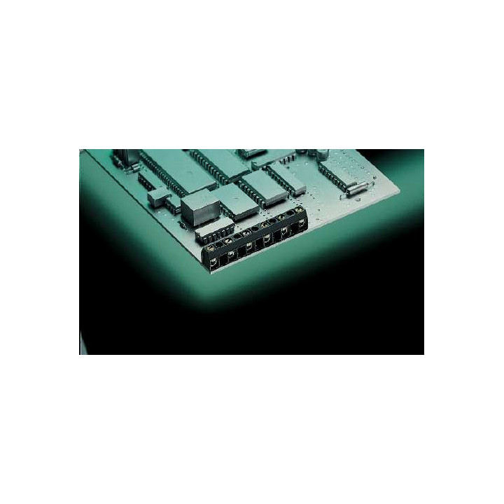 Клема AK500/2DS-10.0-V