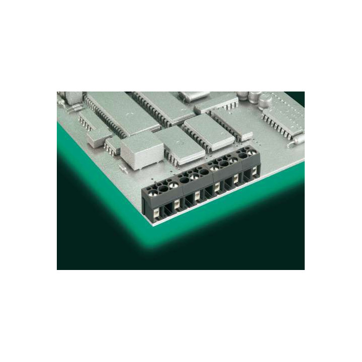 Клема AK100 2DS-10.0-V